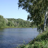 dsc05251.jpg