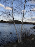 DSC02981.JPG