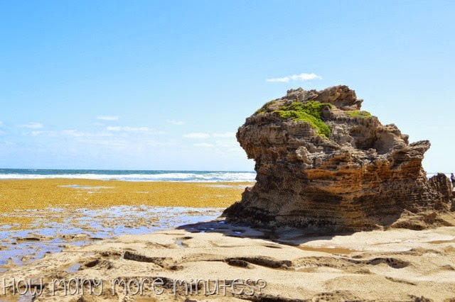 [DSC_1382%255B3%255D.jpg]