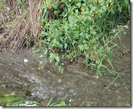 IMG_7496 IMG_7496