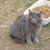 IMG_2748.JPG