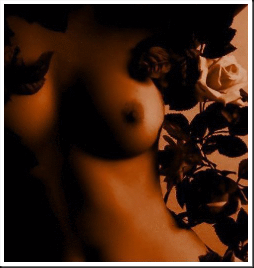 corpo de mulher com rosas