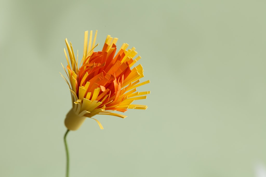 [paper-flowers-25.jpg]