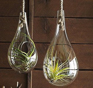 ROOGL285/286 Hanging Terrarium 
Sm $65.00  Lg $85.00