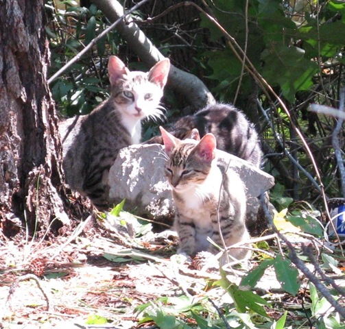 [IMG_8658CROPPED2.jpg]