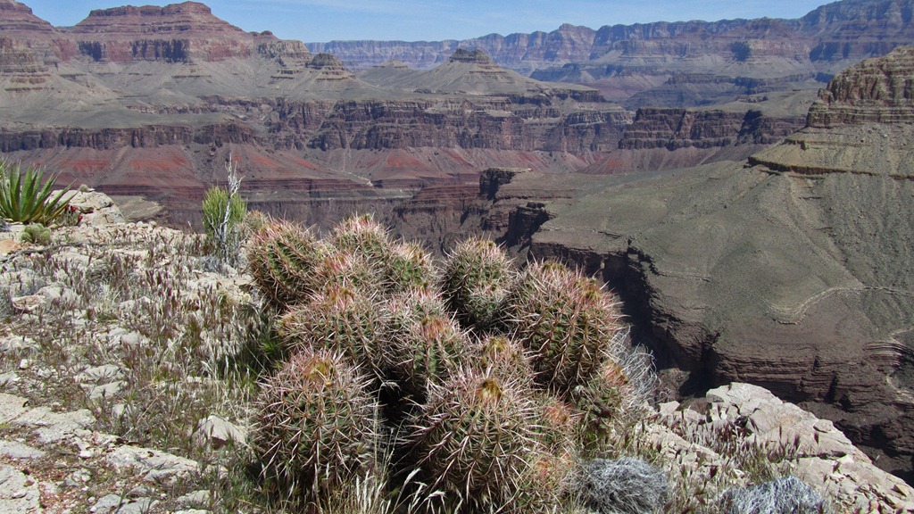 [Grand-Canyon33-8-Apr-20124.jpg]