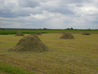 SAM_5615.JPG Photo