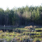 DSC05157.jpg