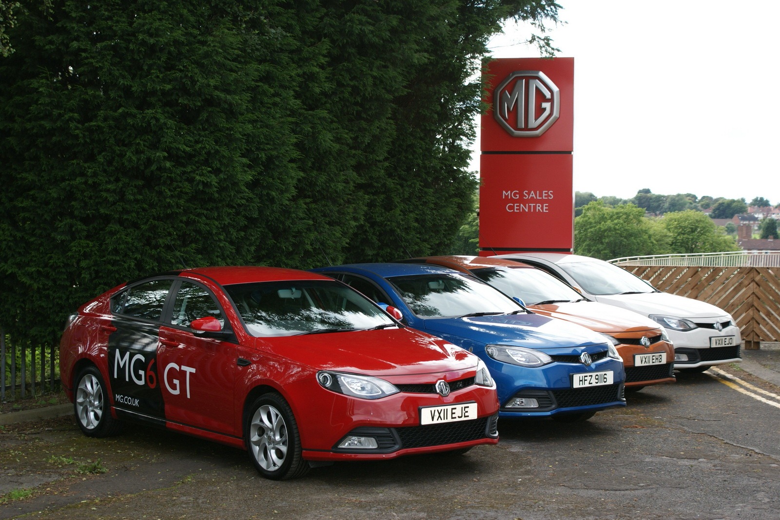 [MG6-43.jpg]