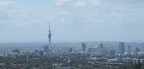 View from the top of One Tree Hill