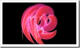 nparticle dynamics nparticle dynamics