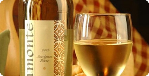patagonia, vinos