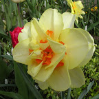 DSCN6800.JPG