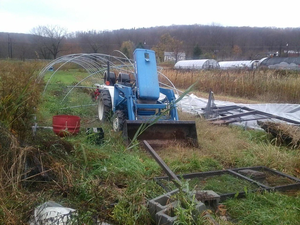 [Greenhouse%2520post%2520hurricane%255B3%255D.jpg]