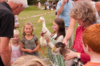 Kineton ducks Kineton ducks