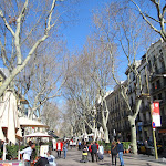 IMG_0512.JPG
