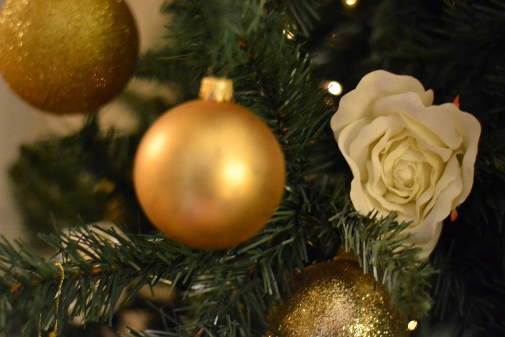 [DSC_0018%255B4%255D.jpg]