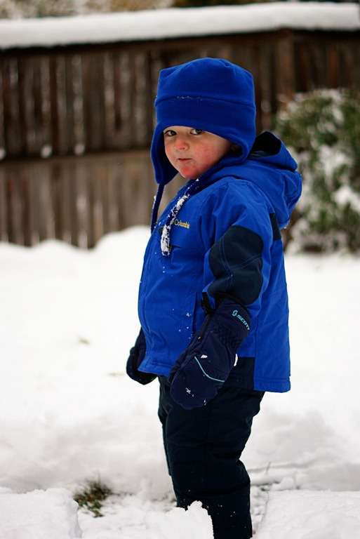 [DSC01701copy%255B4%255D.jpg]