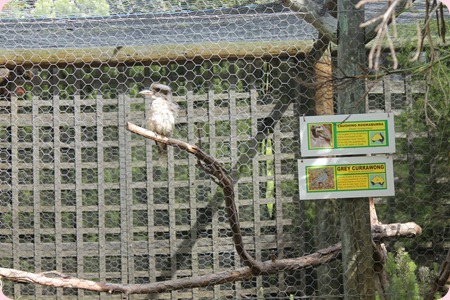 IMG_0284_resize