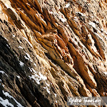 rock texture