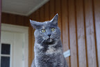 IMGP0084.JPG
