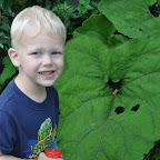 Nicholas and a giant leaf by the stream DSC_6636.jpg
