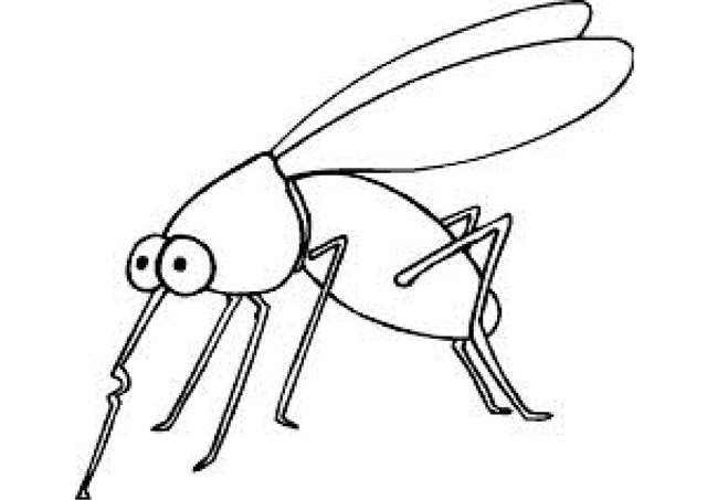 [insects_coloring_pages%2520%252815%2529.png]