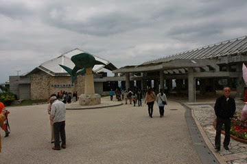 IMG_2952 IMG_2952