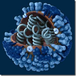 virus-gripe