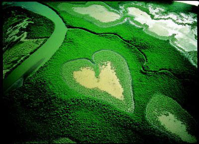 Bird's Eye View, its Beautiful