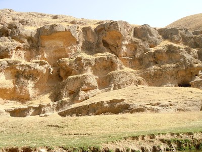 DSCN3838.jpg
