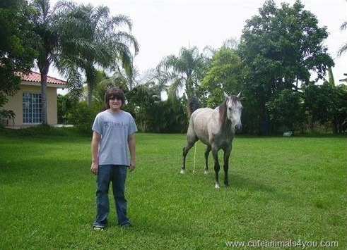 [50_Funniest_Animal_Photobombs_Of_All_Time_38%255B23%255D.jpg]