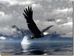 Aguila1