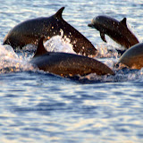DSC_7929.jpg