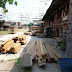 R0027329.JPG