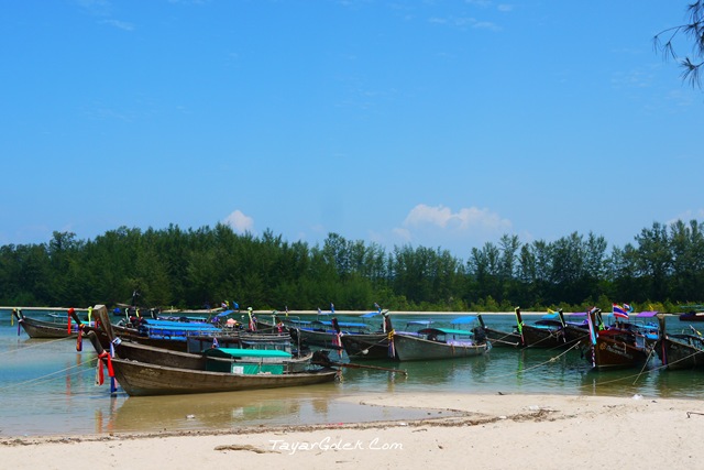 [P10101312.jpg]