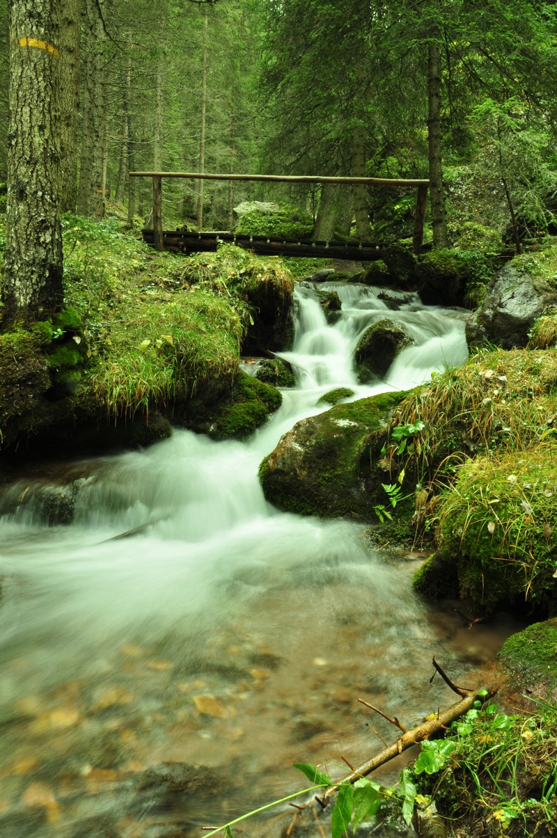 DSC_5341.jpg DSC 5341