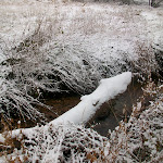 image2.jpg