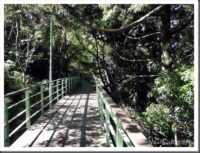 毛毛蟲步道 毛毛蟲步道