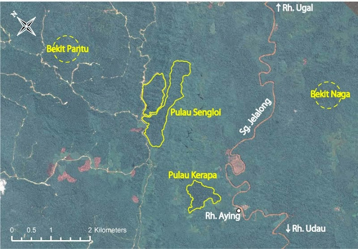Rh. Ayingの集落共有の4つのプラオ
Pualu Sengloiでは一度盗伐が入っており、その際に作られた伐採道路が真ん中に走っている。
Bukit Pantu, Bukit Nagaの正確な位置は要確認。