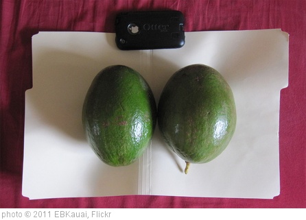 'Giant avocados from Kauai' photo (c) 2011, EBKauai - license: http://creativecommons.org/licenses/by/2.0/