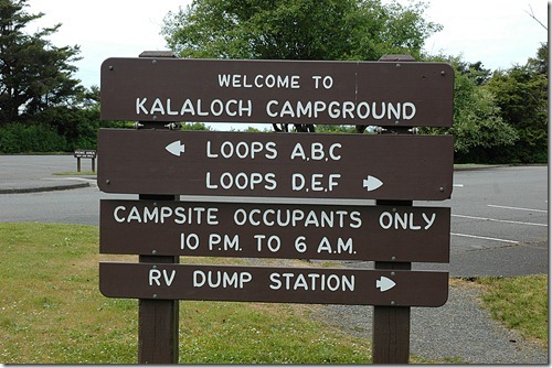 Kalaloch Sign