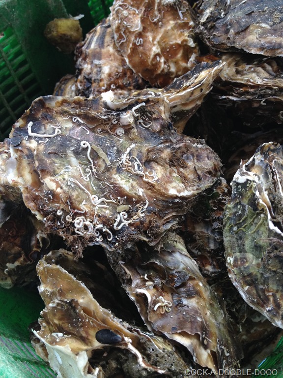 [IMG_1358%255B8%255D.jpg]