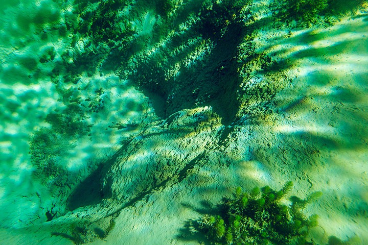 Blue Lake, Nelson, New Zealand - The Clearest Lake in the World Blue-lake-nelson-001%25255B3%25255D