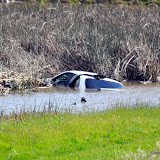 A vehicle was found in the water off of the East Levee Rd near Elverta Rd. When rescue units arrived and dove in to check the vehicle, they found that it was unoccupied. CHP stated that they believe the incident happened several hours prior. News_120330_VehicleIntoWater_Elverta
