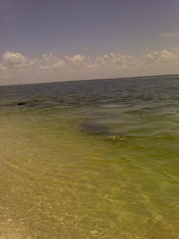 [downsized_0708021340%255B2%255D.jpg]