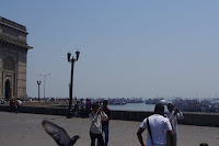 IMGP3224.JPG Photo