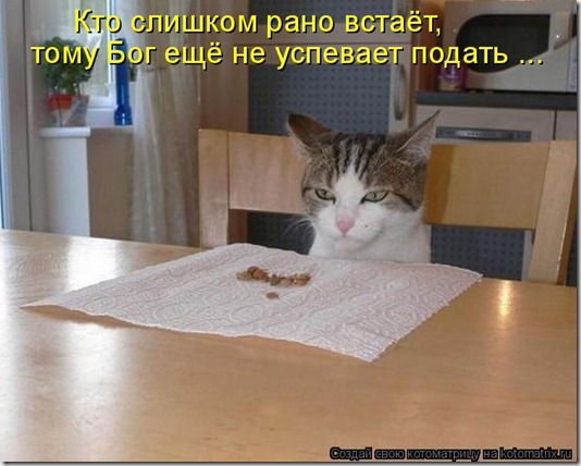 1056187 1056187