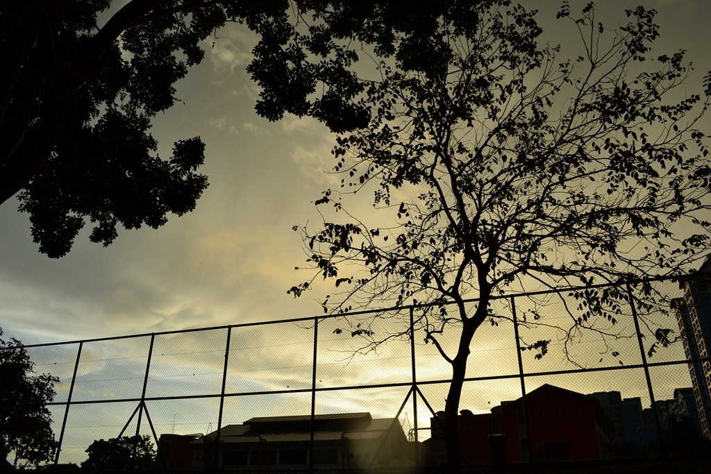 [DSC_0487%255B3%255D.jpg]