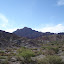 DSC01127.JPG